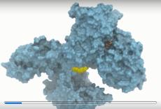 Rotating view of bacterial SecA protein translocase...